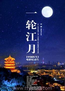 福利一区二区,揭秘两大区域特色与魅力”