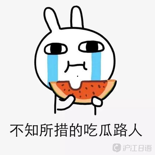 每日吃瓜小红书,揭秘娱乐圈幕后故事